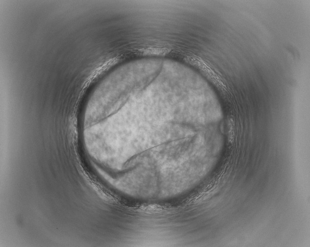 X0000115540634200912041011