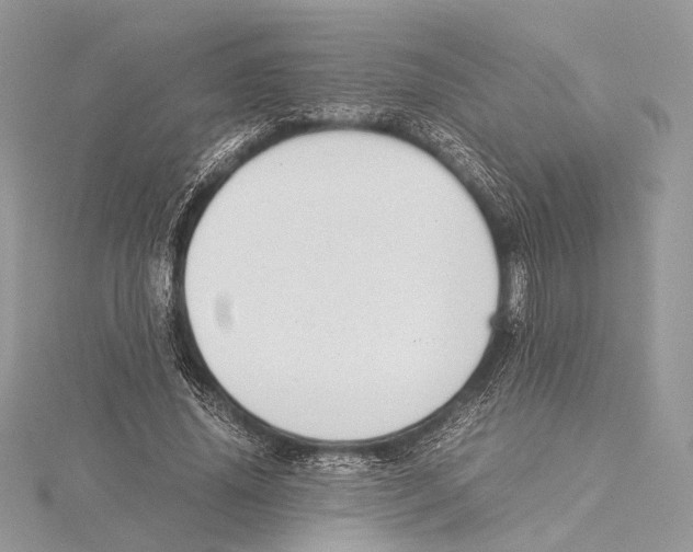 X0000115540636200912041011