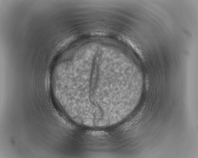 X0000115540637200912041011