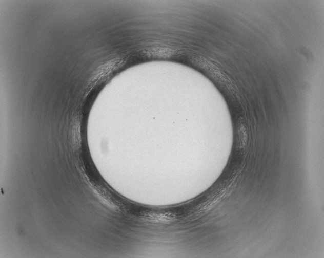 X0000115540638200912041011