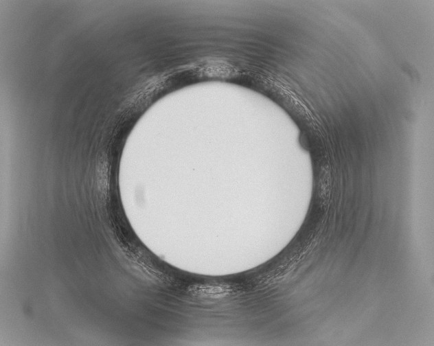 X0000115540639200912041011