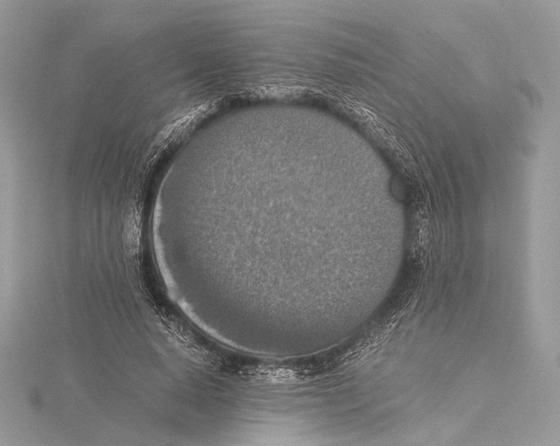 X0000115540640200912041011