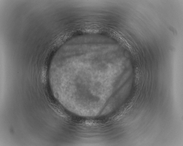 X0000115540641200912041011