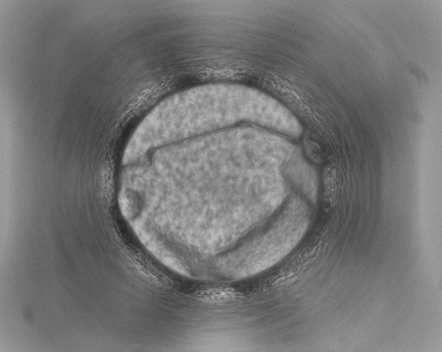 X0000115540642200912041011