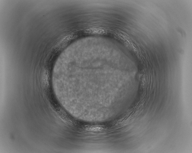 X0000115540643200912041011