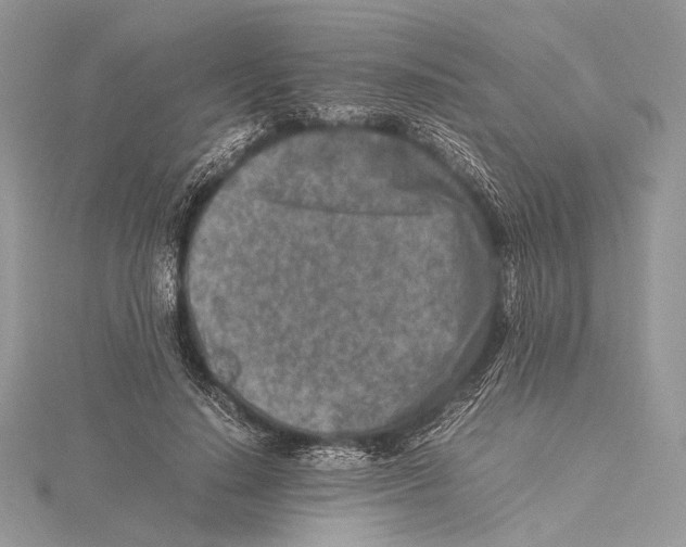 X0000115540644200912041011