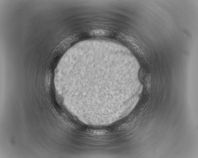 X0000115540645200912041011