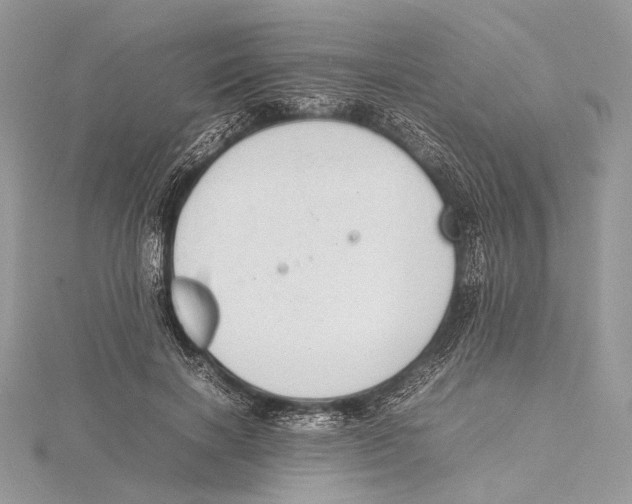 X0000115540646200912041011