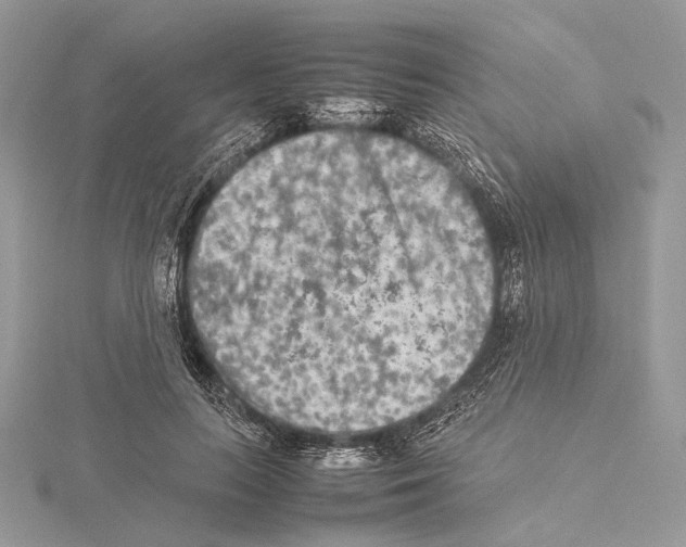 X0000115540647200912041011