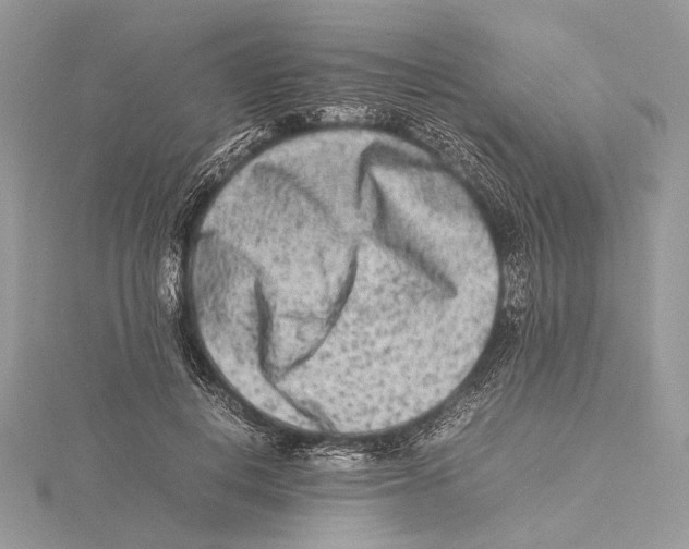 X0000115540648200912041011