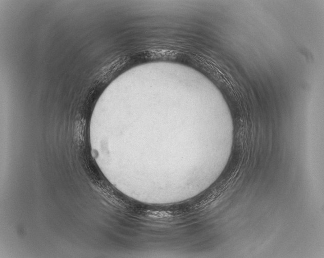 X0000115540649200912041011