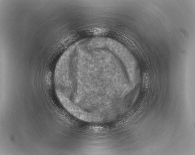 X0000115540650200912041011