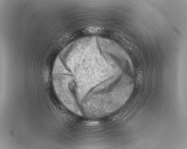 X0000115540651200912041011