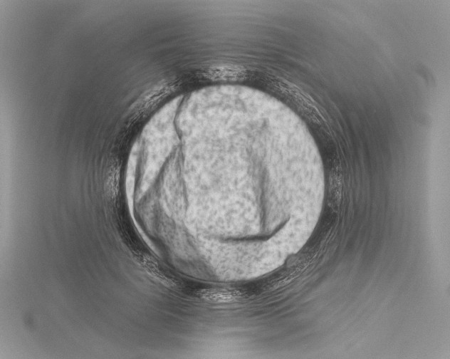 X0000115540652200912041011