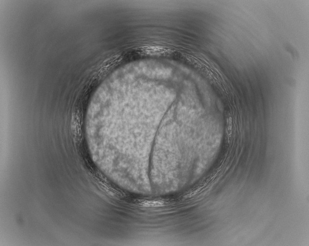 X0000115540653200912041011