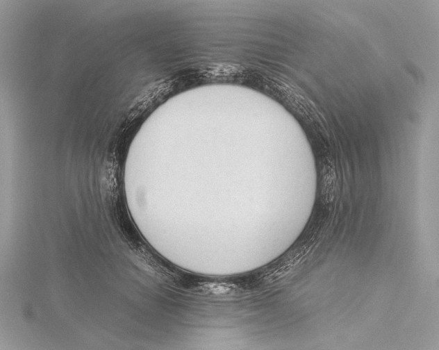 X0000115540654200912041011