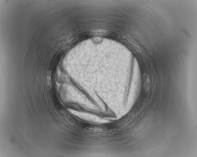 X0000115540655200912041011