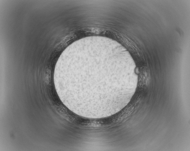 X0000115540656200912041011