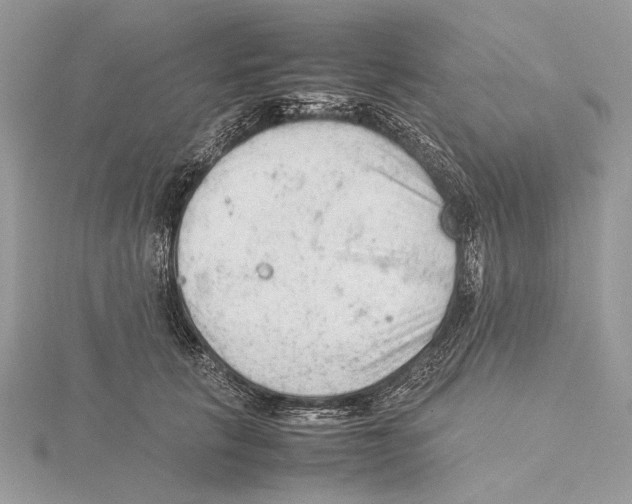 X0000115540657200912041011