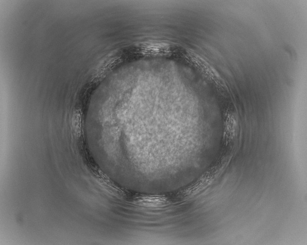 X0000115540659200912041011