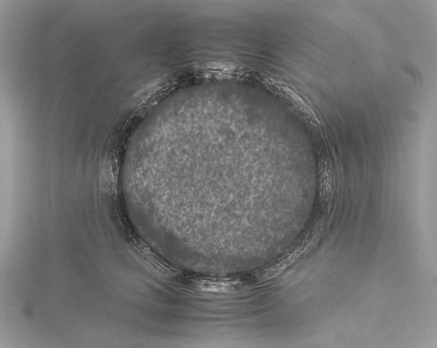 X0000115540661200912041012