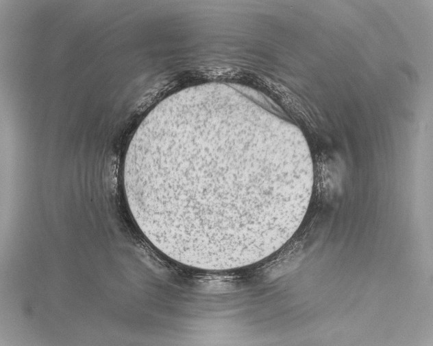 X0000115540664200912041012