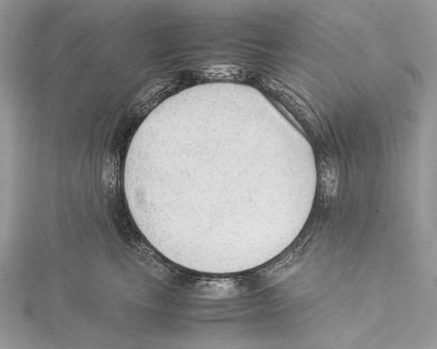 X0000115540665200912041012