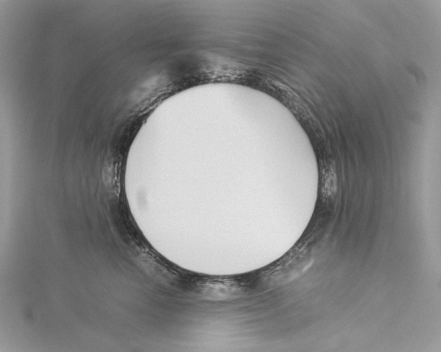 X0000115540666200912041012