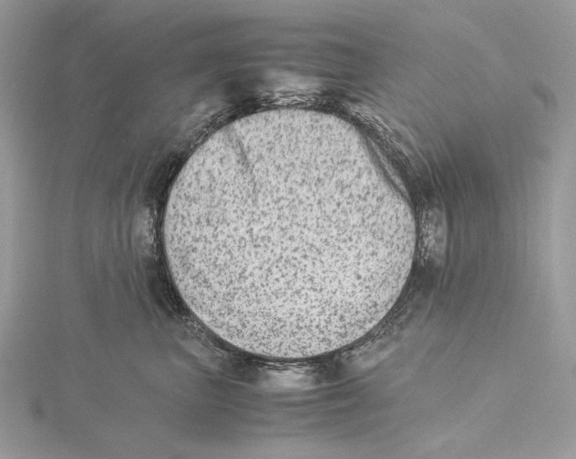 X0000115540667200912041012