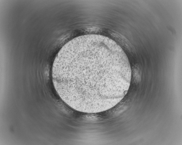 X0000115540668200912041012