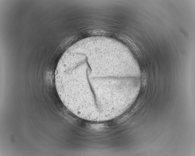 X0000115540669200912041012