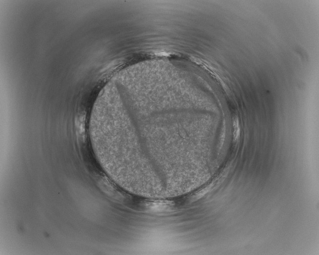 X0000115540670200912041012