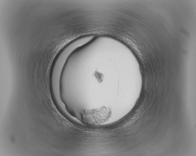 X0000115540673200912041011