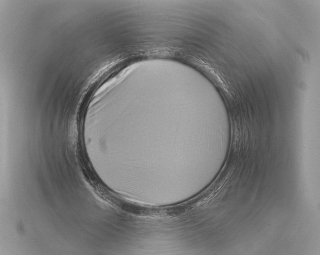 X0000115540674200912041011