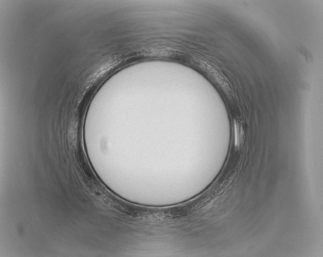 X0000115540675200912041011