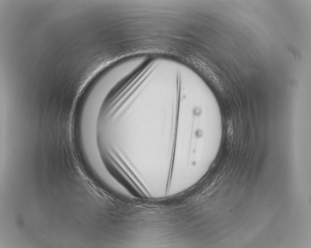 X0000115540676200912041011