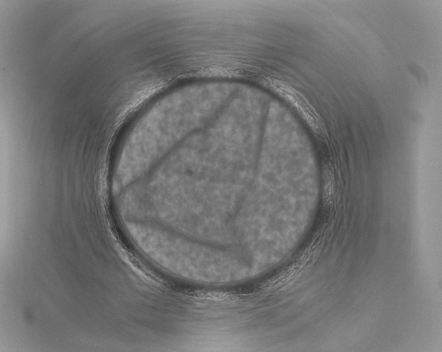 X0000115540677200912041011