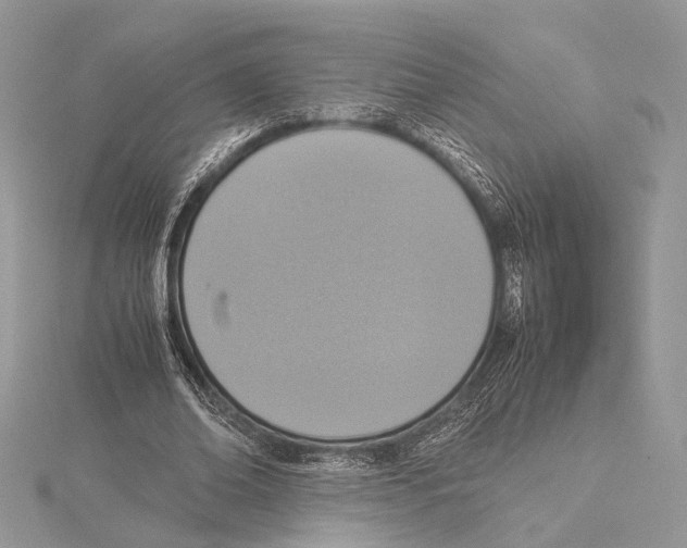 X0000115540678200912041011