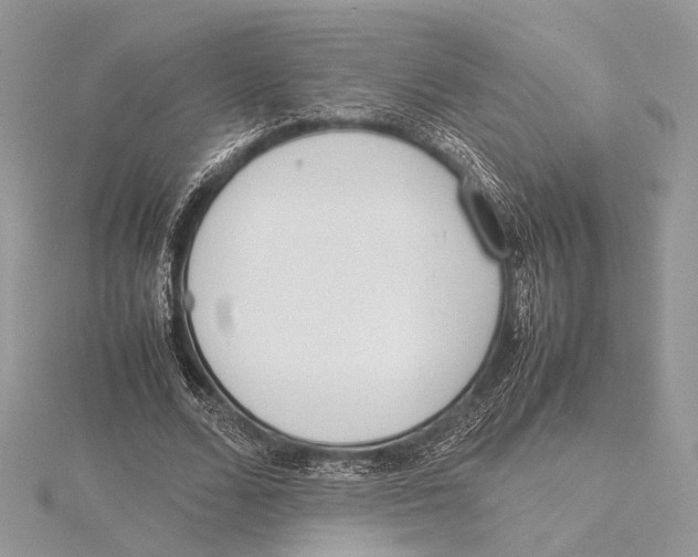 X0000115540680200912041011