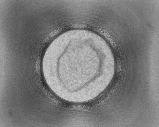 X0000115540681200912041011