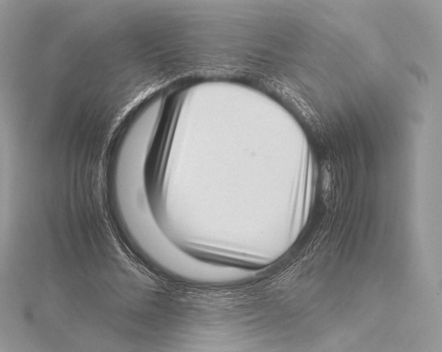 X0000115540684200912041011