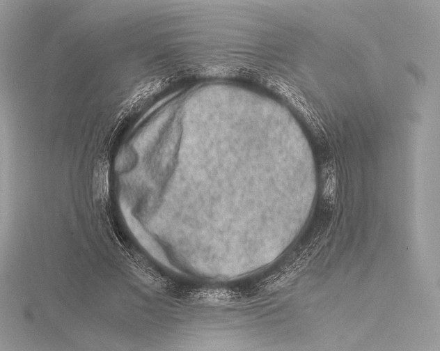 X0000115540685200912041011