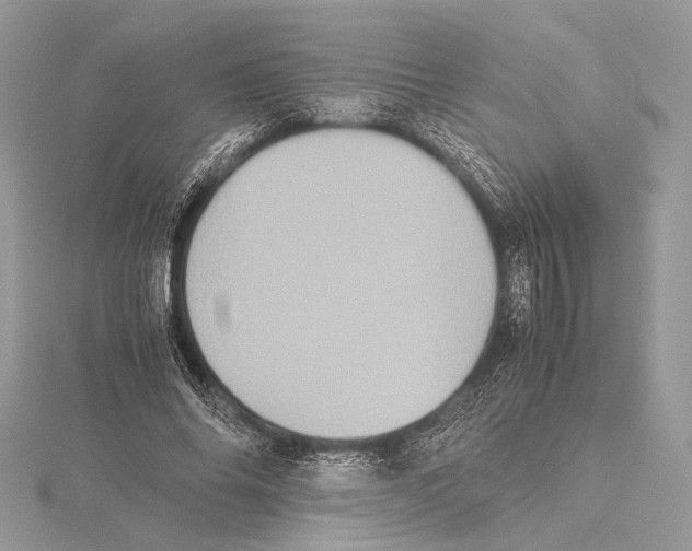 X0000115540686200912041011