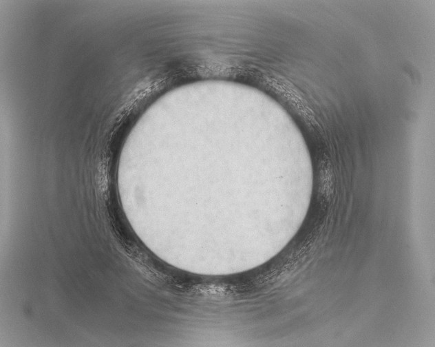 X0000115540687200912041011