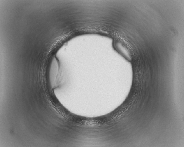 X0000115540688200912041011