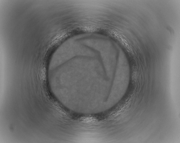 X0000115540689200912041011