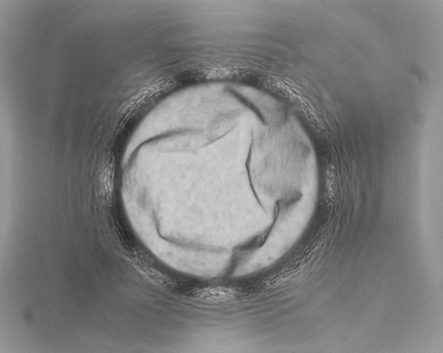 X0000115540691200912041011