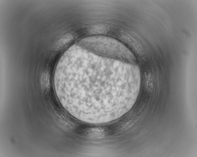 X0000115540692200912041011