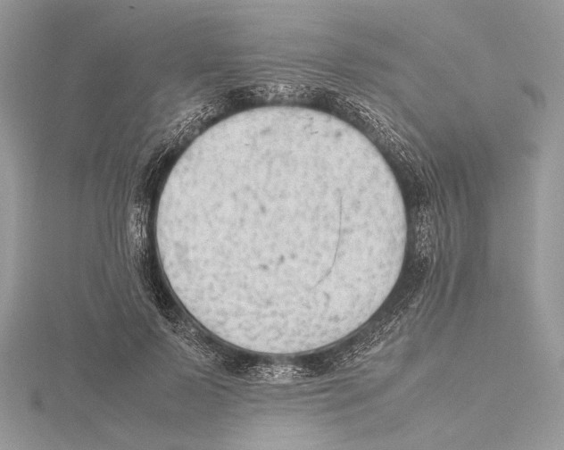 X0000115540695200912041011