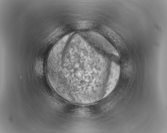 X0000115540696200912041011